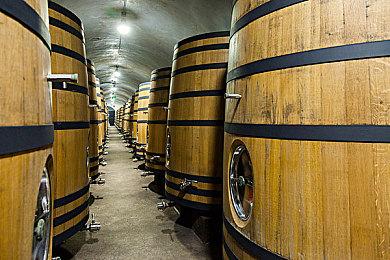 恋爱视觉小说《构想彼方》Steam页面上线 2025年第二季度发售