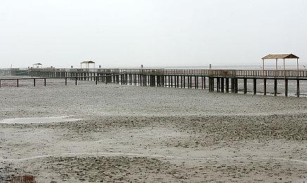 多人派对游戏新作《奇喵派对》发布上市日期宣传片